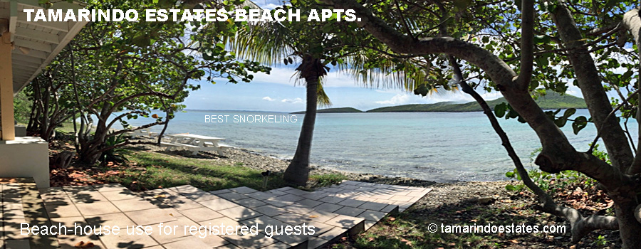 Beach house, Culebra's best
                      walk-in snorkeling