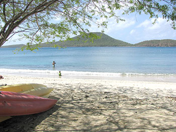 Tamarindo
                beach